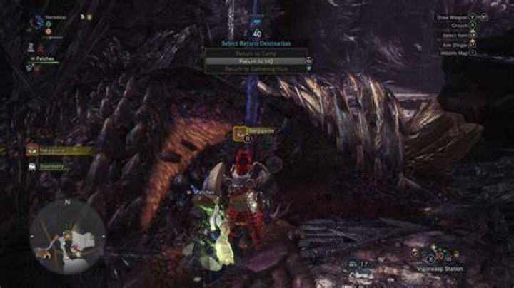 Can Iceborne play with non Iceborne?