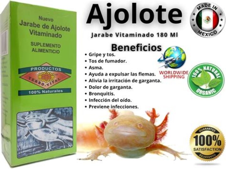 ¿Dónde se puede comprar un ajolote?